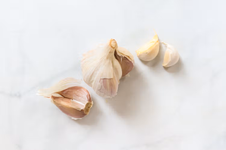 Garlic