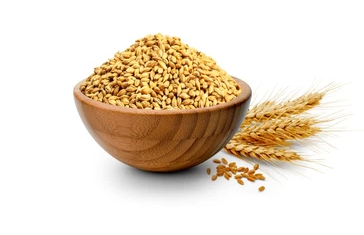 Grains