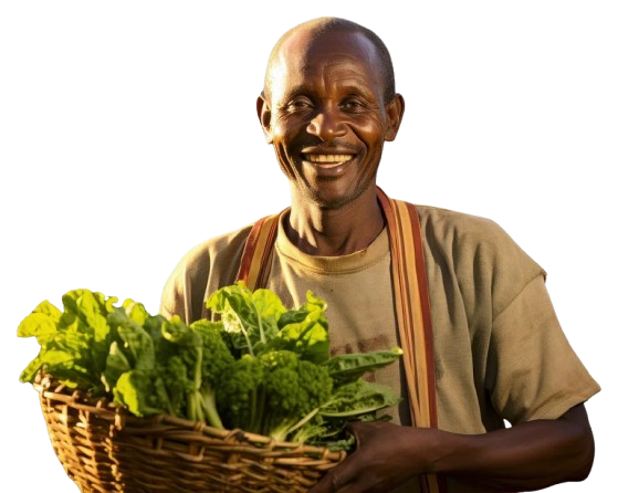 Benefits of becoming a <span>member</span>?